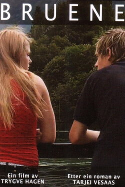 Bruene (2011)