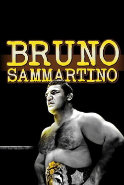 Bruno Sammartino (2019) Bruno Sammartino (2019)