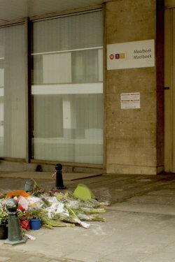 Brussels, 2016 (2016) Brussels, 2016 (2016)