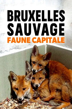 Brussels, the Wild Side (2015)