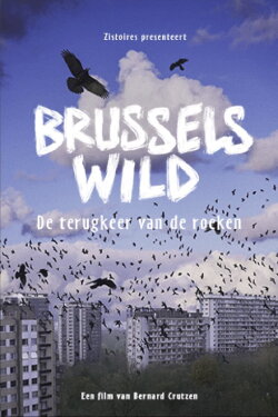 Bruxelles Sauvage - Le retour des corbeaux (2024) Bruxelles Sauvage - Le retour des corbeaux (2024)