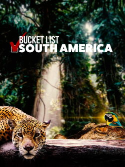 Bucket List: South America (2020) Bucket List: South America (2020)