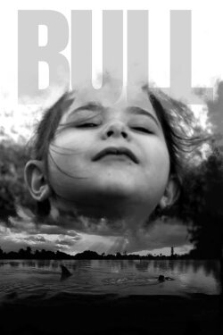 Bull (2023)