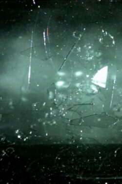 Bullet Bird (2007) Bullet Bird (2007)