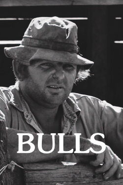 Bulls (2008)