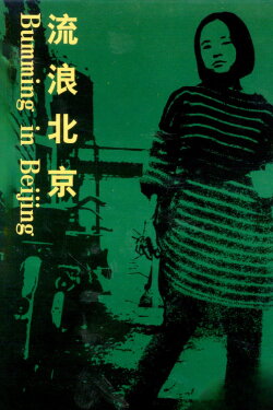 Bumming in Beijing: The Last Dreamers (1990) Bumming in Beijing: The Last Dreamers (1990)
