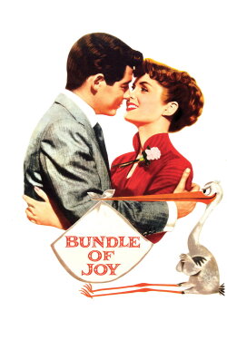 Bundle of Joy (1956) Bundle of Joy (1956)