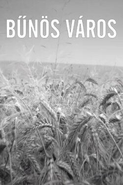 Bűnös Város (2021) Bűnös Város (2021)