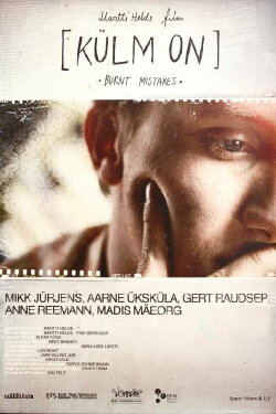Burnt Mistakes (2010)