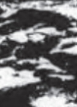 Burren (2007)