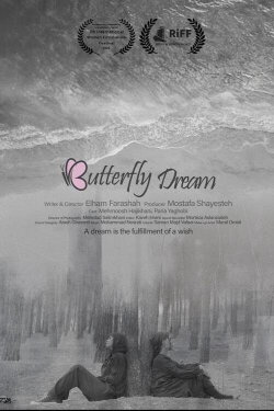 Butterfly Dream (2024) Butterfly Dream (2024)