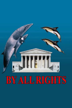 By All Rights (2016) By All Rights (2016)