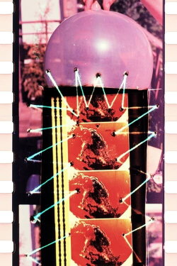 c: won eyed jail (2005)