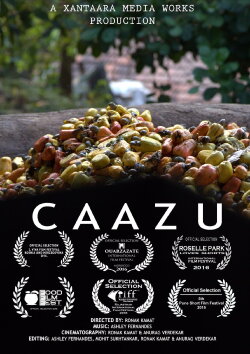 Caazu (2016)