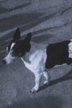 Caballito (2024)