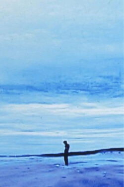 Cactus (2000)