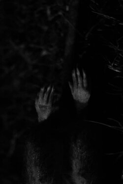 Cadaverous Sonneteer (2023)