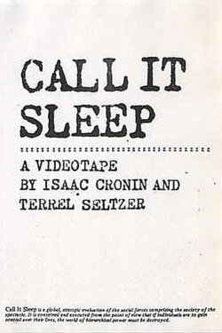Call It Sleep (1982)