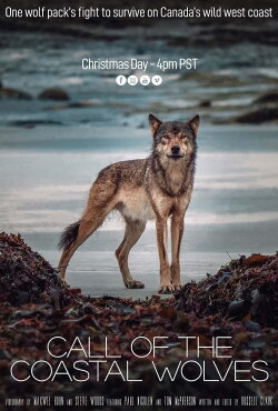 Call Of The Coastal Wolves (2020) Call Of The Coastal Wolves (2020)