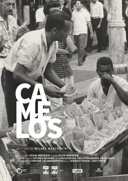 Camelôs (2018) Camelôs (2018)