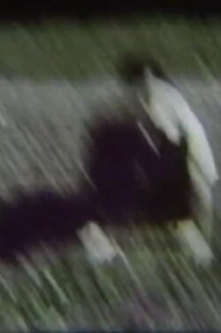 Camera/Cage (1978)