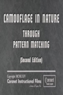 Camouflage In Nature: Through Pattern Matching (Second Edition) (1964) Camouflage In Nature: Through Pattern Matching (Second Edition) (1964)