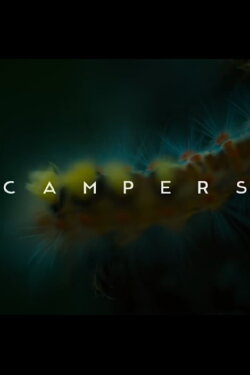 Campers (2018)