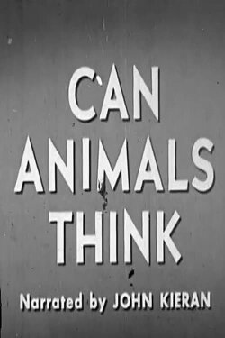 Can Animals Think (1950) Can Animals Think (1950)