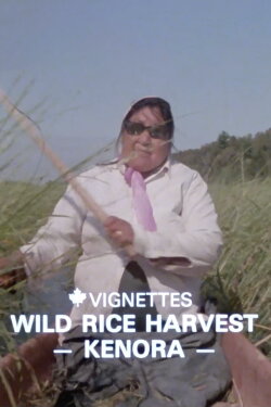 Canada Vignettes: Wild Rice Harvest Kenora (1979)