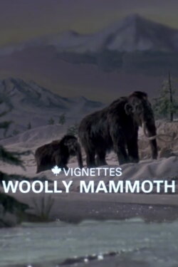 Canada Vignettes: Woolly Mammoth (1979) Canada Vignettes: Woolly Mammoth (1979)