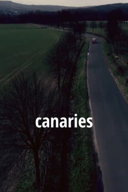 Canaries (2018)