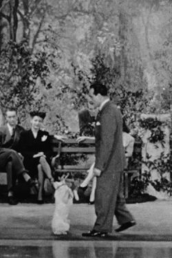 Canine Capers (1944)