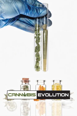 Cannabis Evolution (2019)