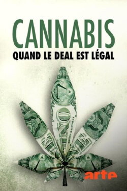 Cannabis : quand le deal est légal (2019)