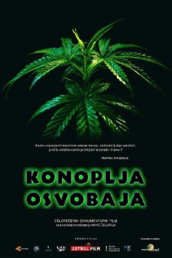 Cannabis Sets You Free (2022) Cannabis Sets You Free (2022)
