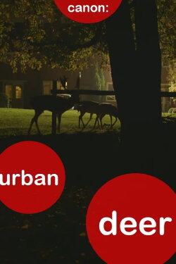 Canon: Urban Deer (2014) Canon: Urban Deer (2014)