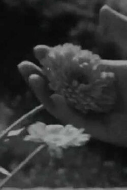 Cántico (1950)