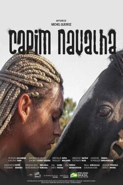 Capim-Navalha (2023)