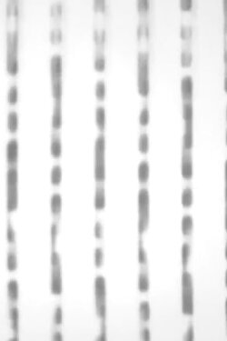 Capture d’écran #1 (2020) Capture d’écran #1 (2020)