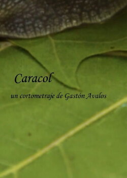 Caracol (2023)