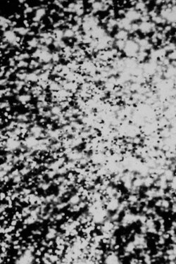 Carbon Dust (2021) Carbon Dust (2021)