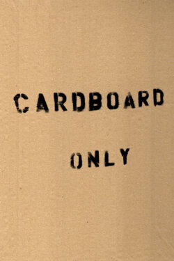 Cardboard Only (2001)