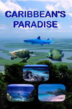 Caribbean's Paradise (2010) Caribbean's Paradise (2010)
