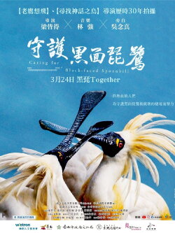 Caring for Black-Faced Spoonbill (2023) Caring for Black-Faced Spoonbill (2023)