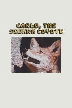 Carlo the Sierra Coyote (1974) Carlo the Sierra Coyote (1974)