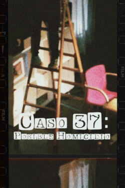 Caso 37: Posible Homicidio (2022) Caso 37: Posible Homicidio (2022)