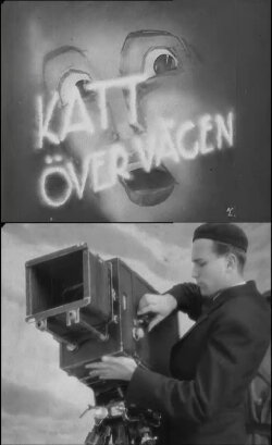 Cat Across the Road (1937) Cat Across the Road (1937)