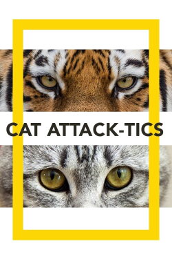 Cat Attack-Tics (2020) Cat Attack-Tics (2020)