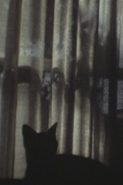 CAT ＆ CURTAIN (1995)