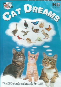 Cat Dreams (2013)